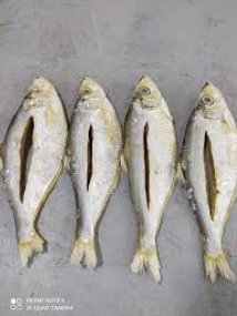 অর্গানিক চইক্কা মাছের শুটকি  ১ কেজি